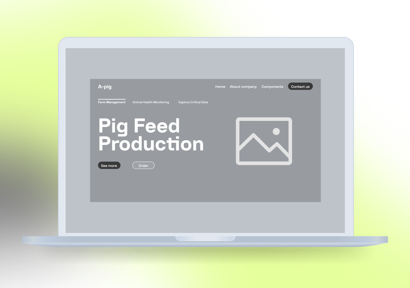 a-pig wireframes