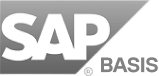 SAP Basis