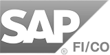 SAP FI/CO