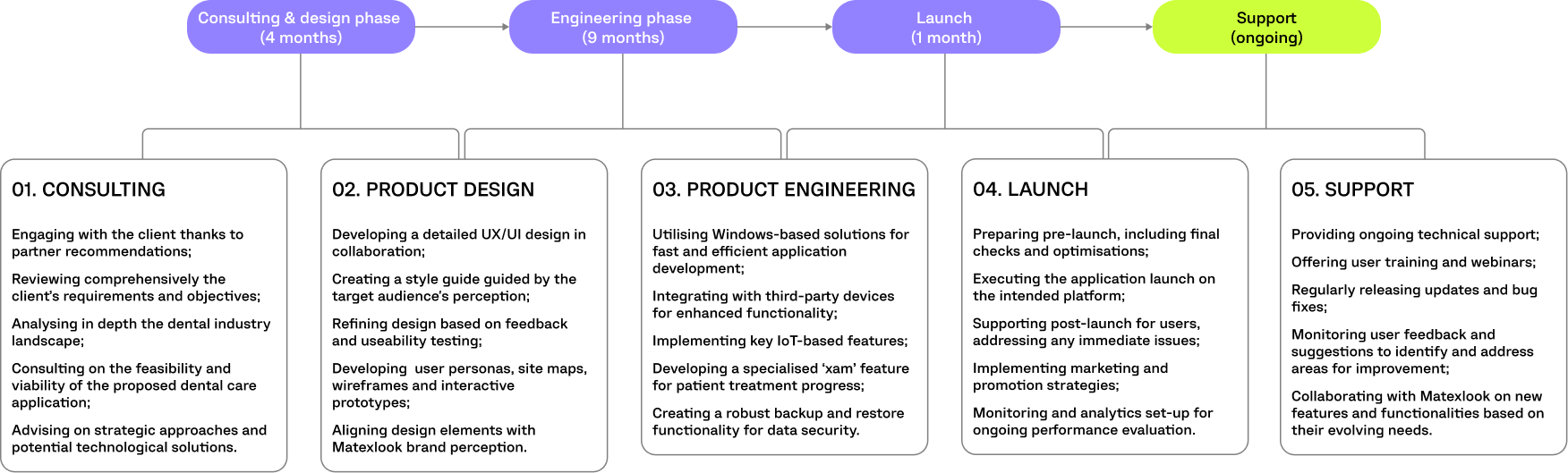 SYNERGY FX PROJECT TIMELINE