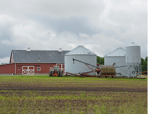Livestock Management